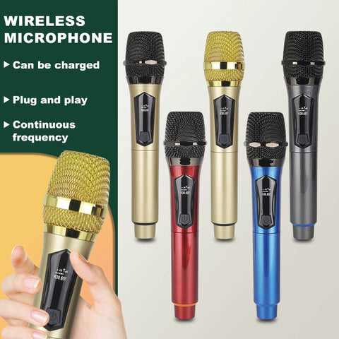 Wireless Dual Microphone Set